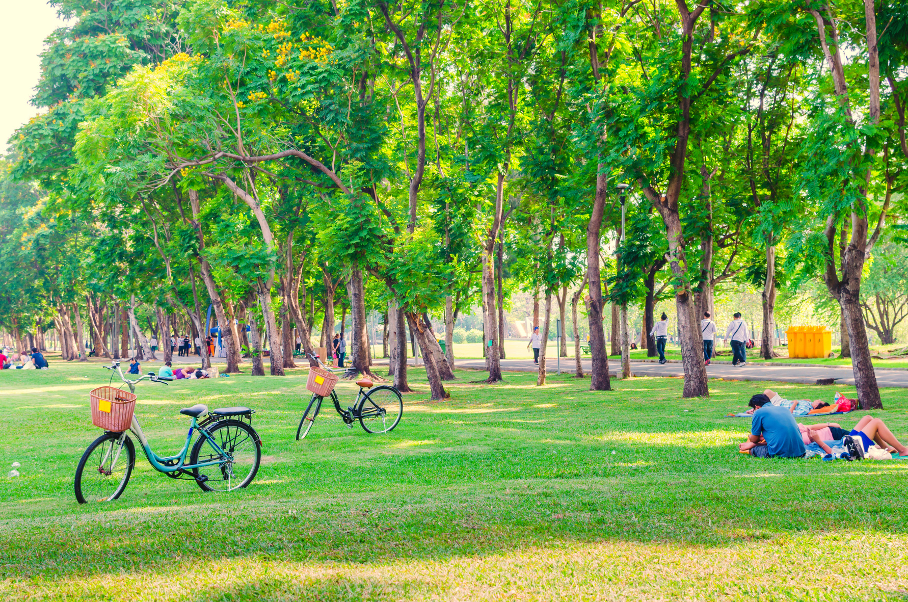 Bicycles on Green Grass in the Park